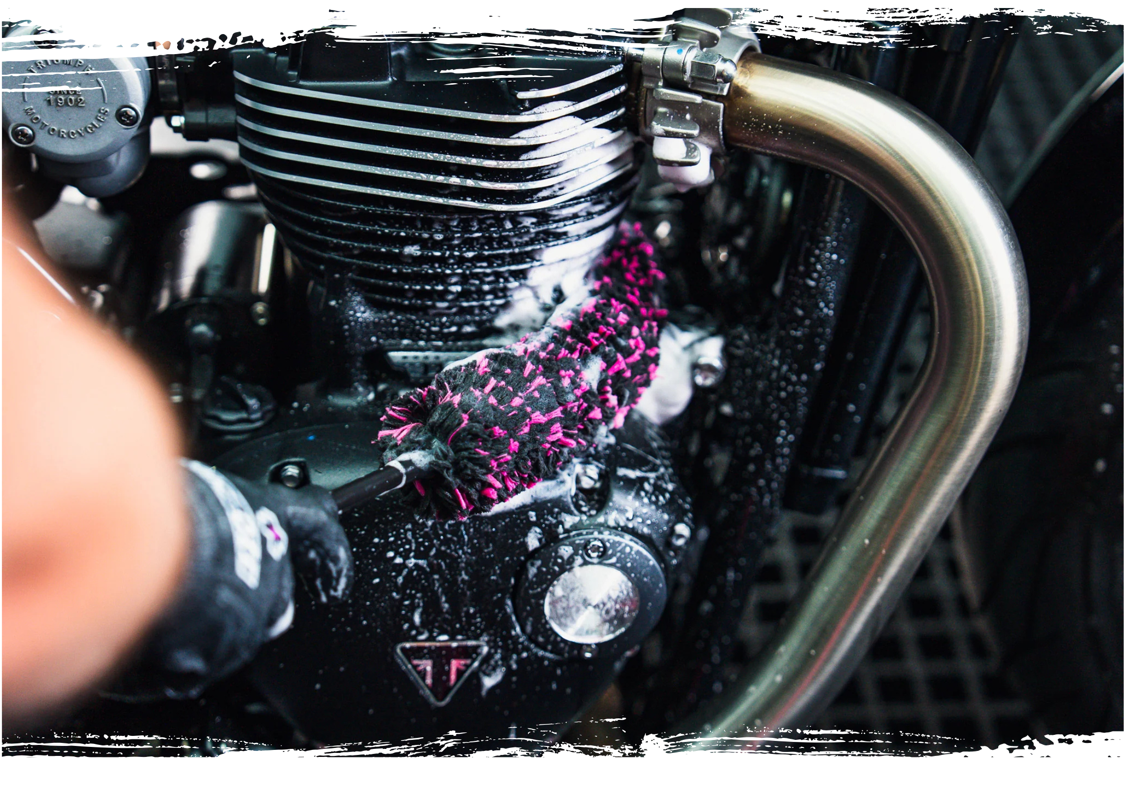 detailing brush 2 up
